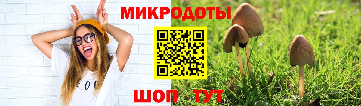 Галлюциногенные грибы прущие грибы Ачхой-Мартан